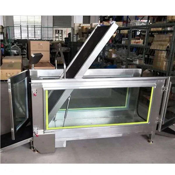 underwater treadmill for dogs