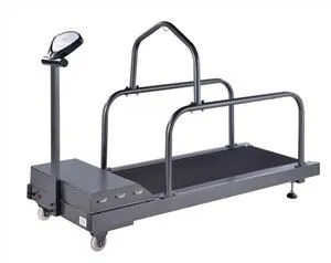 1,75 hj siseruumides lemmikloomade koerte jooksulint