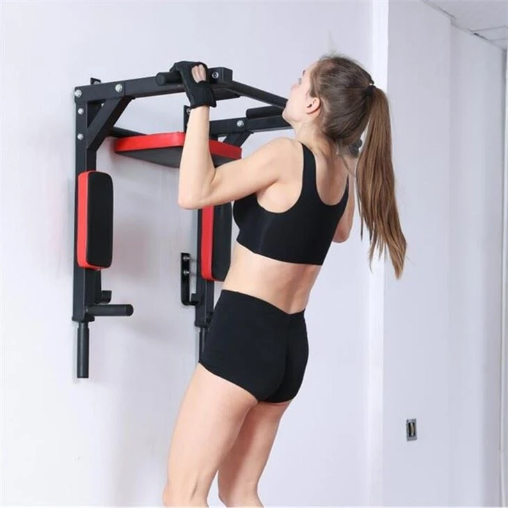 All Mounted Dip And Pull Up Bar