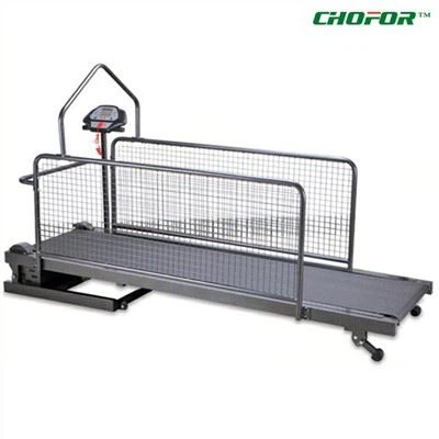 3HP kokkupandav lemmikloomade jooksulint koertele