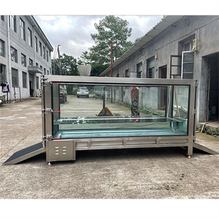 Underwater Treadmill Therapy For Dogs