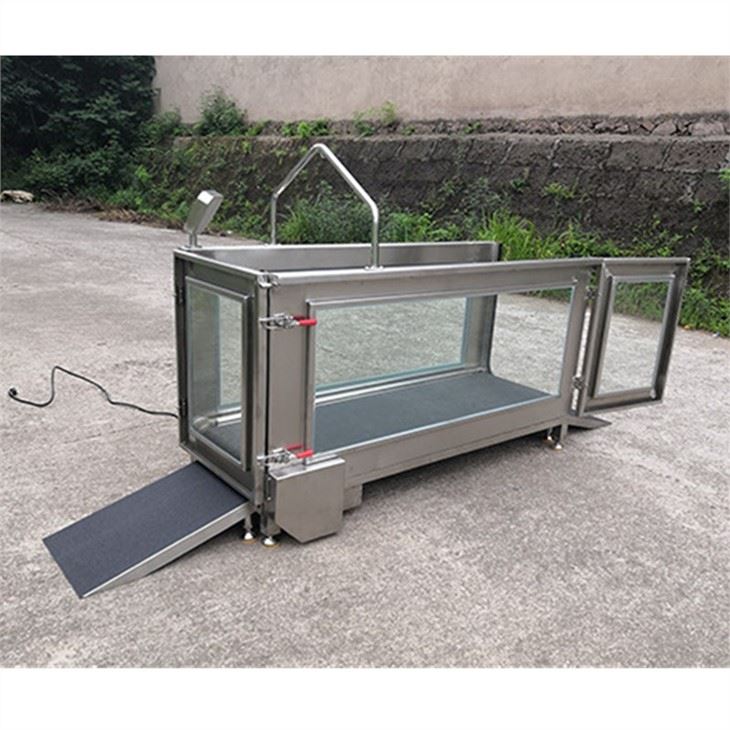 Underwater Treadmill Therapy For Dogs