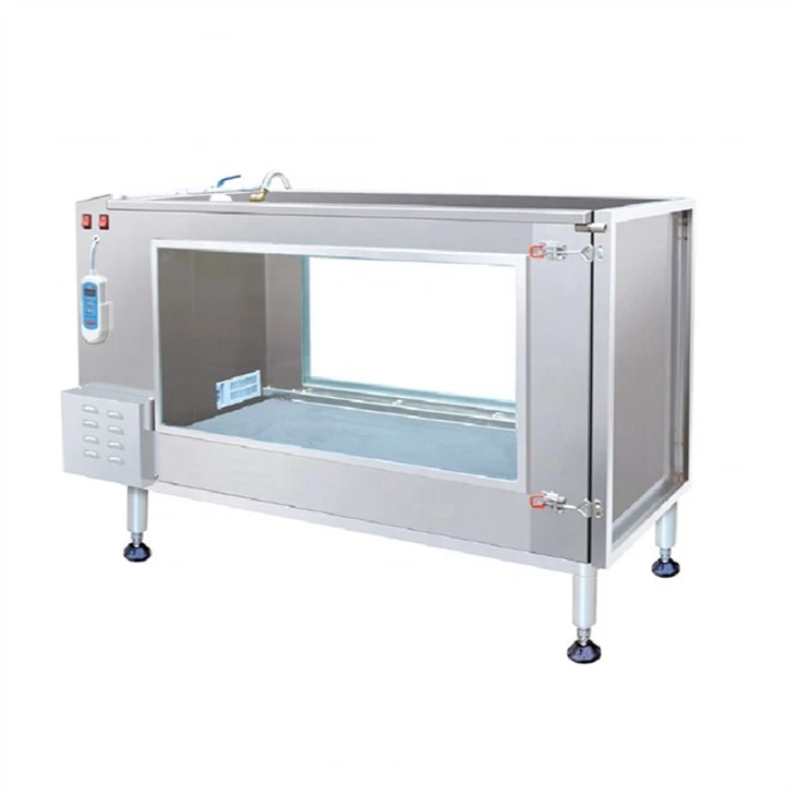 Underwater Treadmill Therapy For Dogs